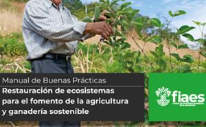 Manual de Buenas Practicas para la Restauración de Ecosistemas