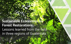 Cover Sustainable Economics for Forest Restoration
