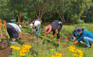 Ciudad Dulce Jardines 