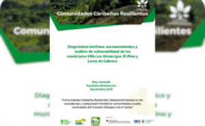 Portada de la publicación