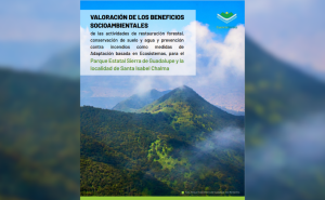Publicación de valoración sobre beneficios socioambientales
