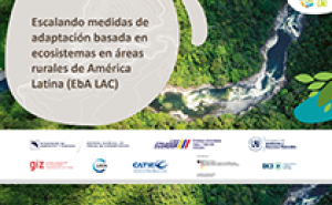Portada de la publicación