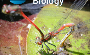 Portada revista