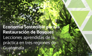 Publicación de economía sostenible