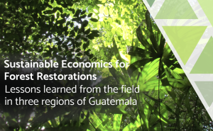 Sustainable economies