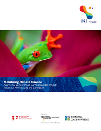 Portada Mobilising climate finance experiences