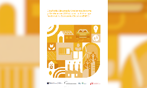 Portada de la publicacion