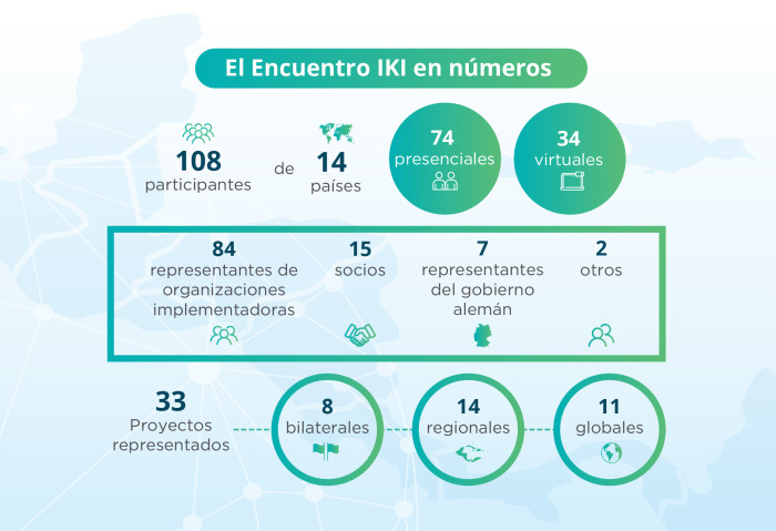 IKI en números