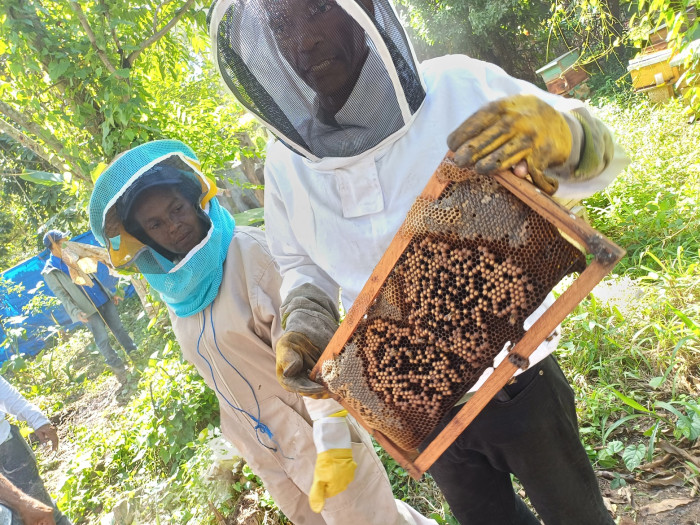 Local beekeepers inspect a frame of honey and pollen, demonstrating the successful transition from barrel production to modern hives supported by the project.