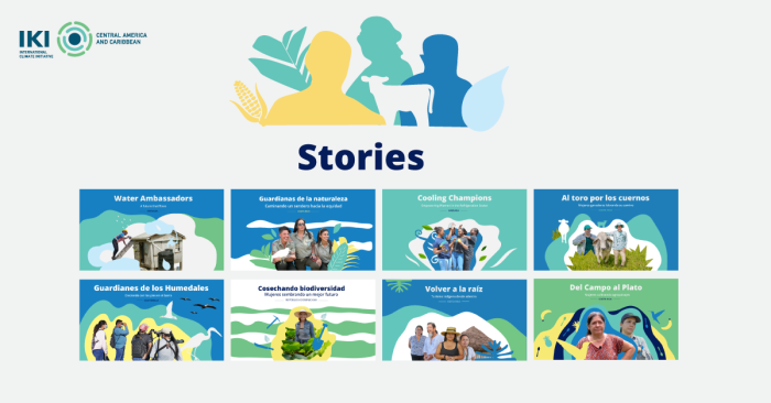 Screenshot of the digital knowledge product