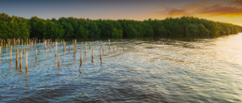 Río o cuerpo de agua