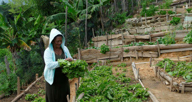 Mujer en una huerta
