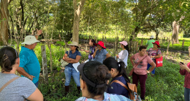 Mujeres costarricenses