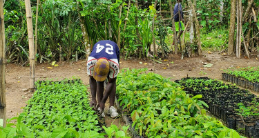 Comunitarios en sus implementaciones AbE
