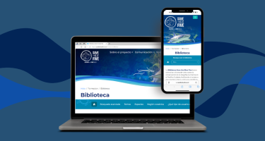 Pantallazo de la biblioteca en línea
