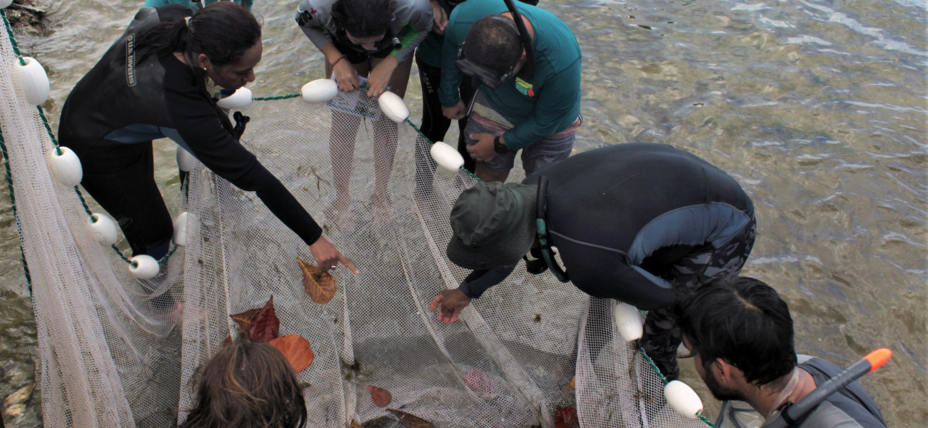 Workshop participants in Trinidad examine catch in seine net at William Bay