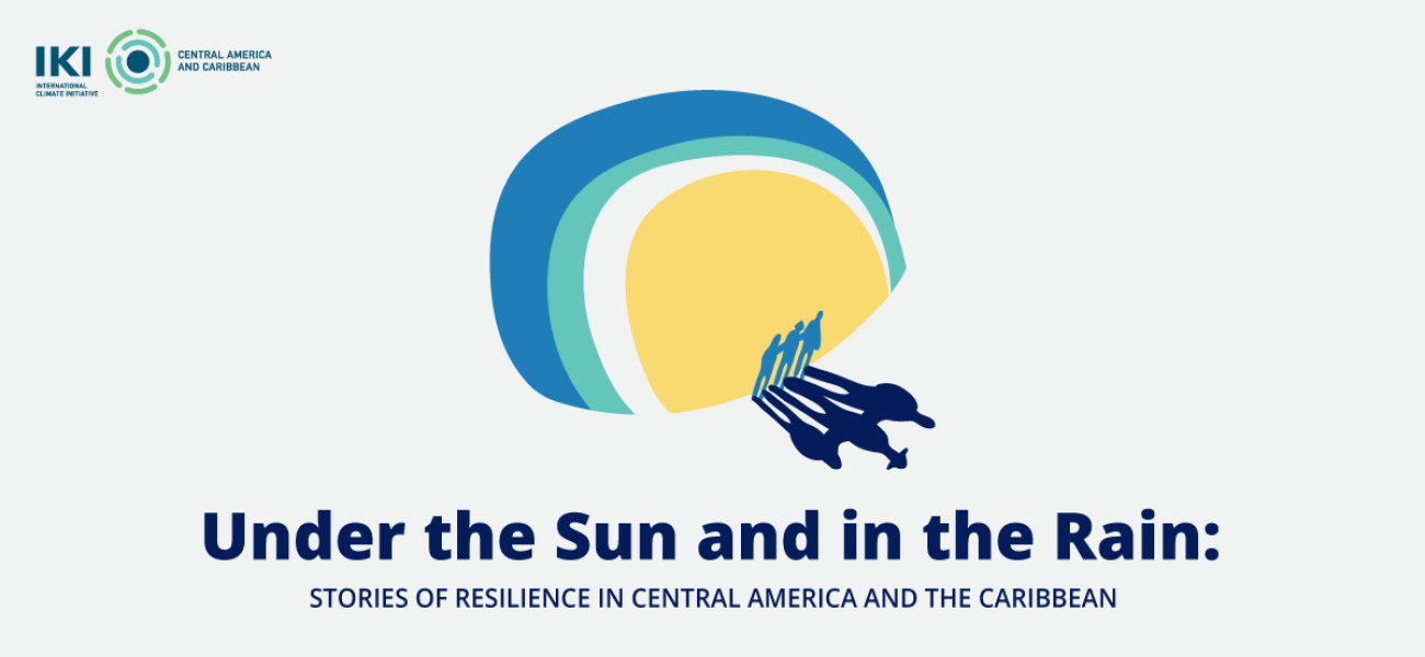 Screenshot of the Scrollytelling Product 