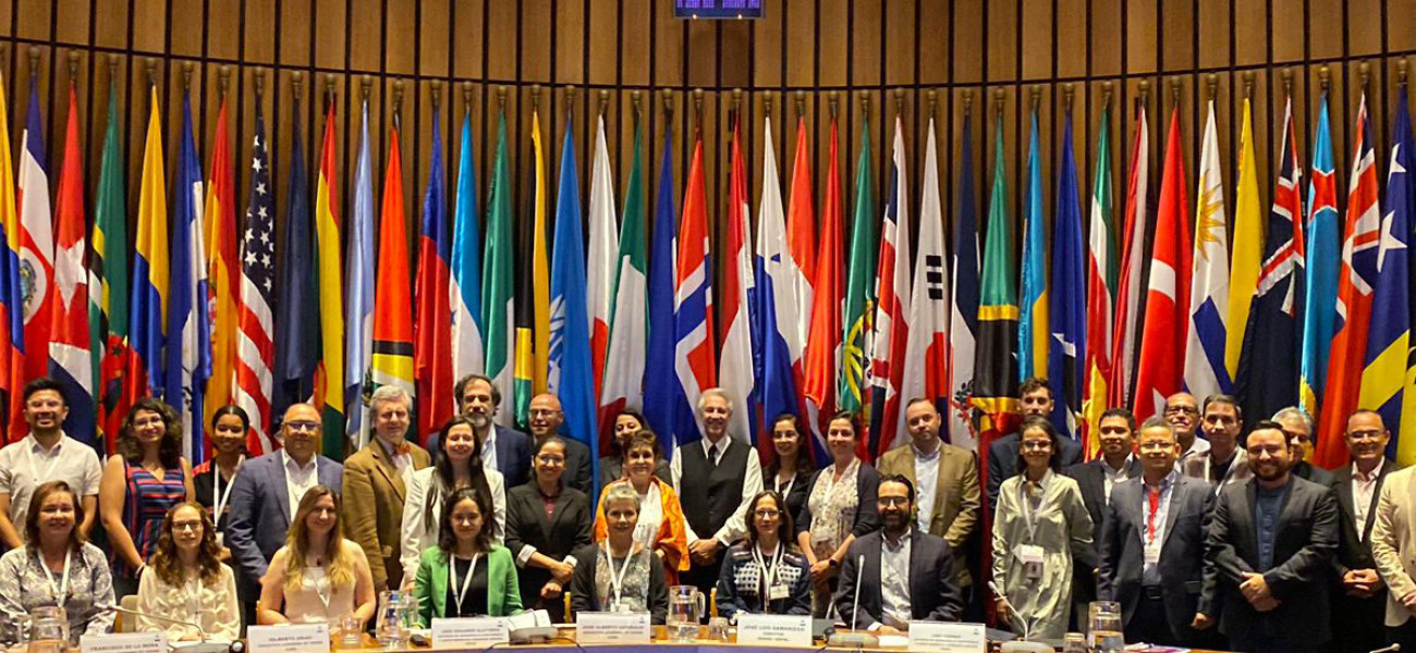 Foto grupal de representantes de Gobiernos RIOCC y miembros de CEPAL y Energeia Network