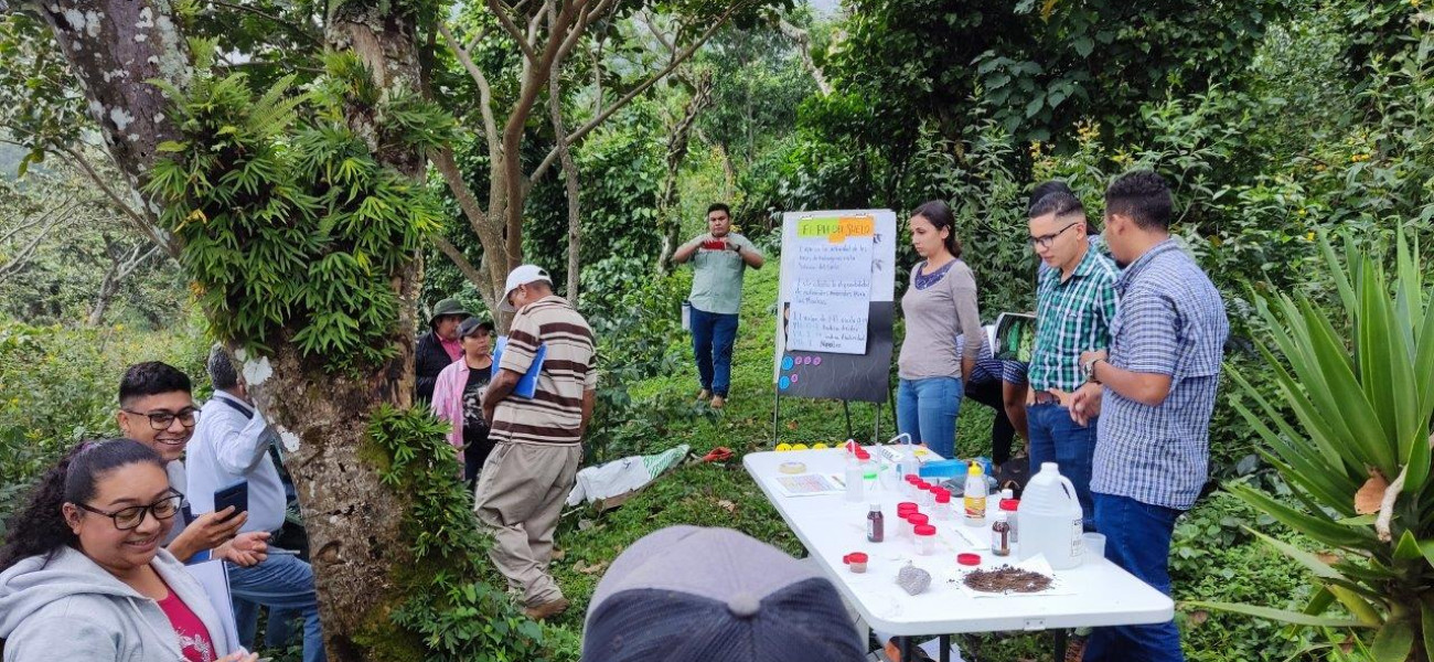 COMAR Consultores