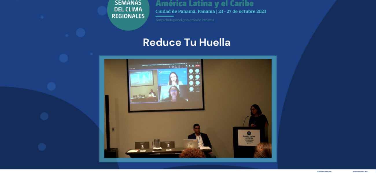Pantallazo del evento virtual en la LACCW